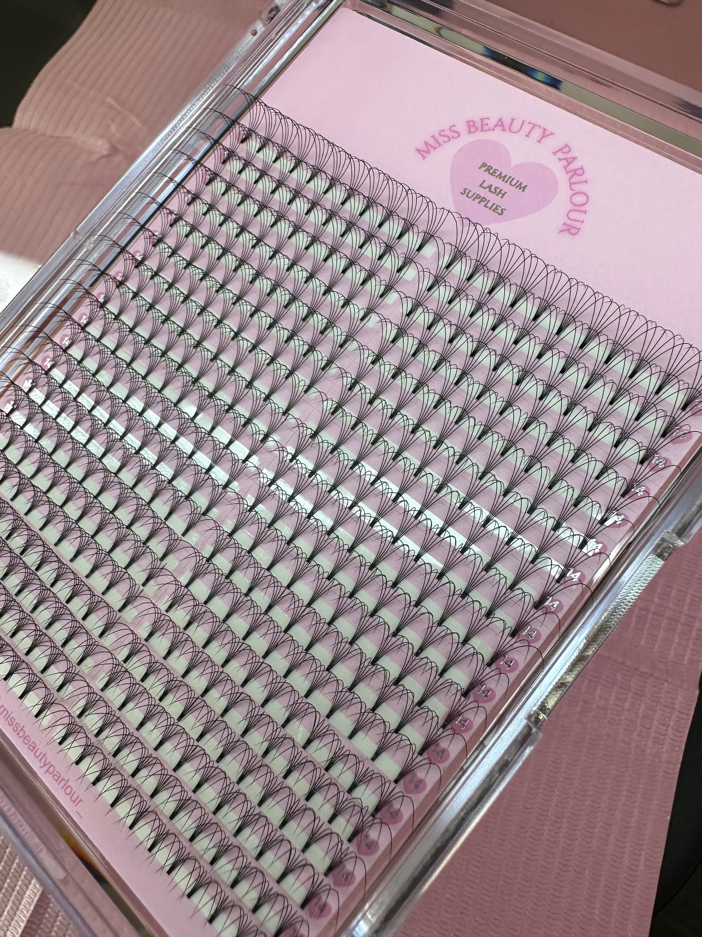 5D 0.10 - XL LASH TRAY