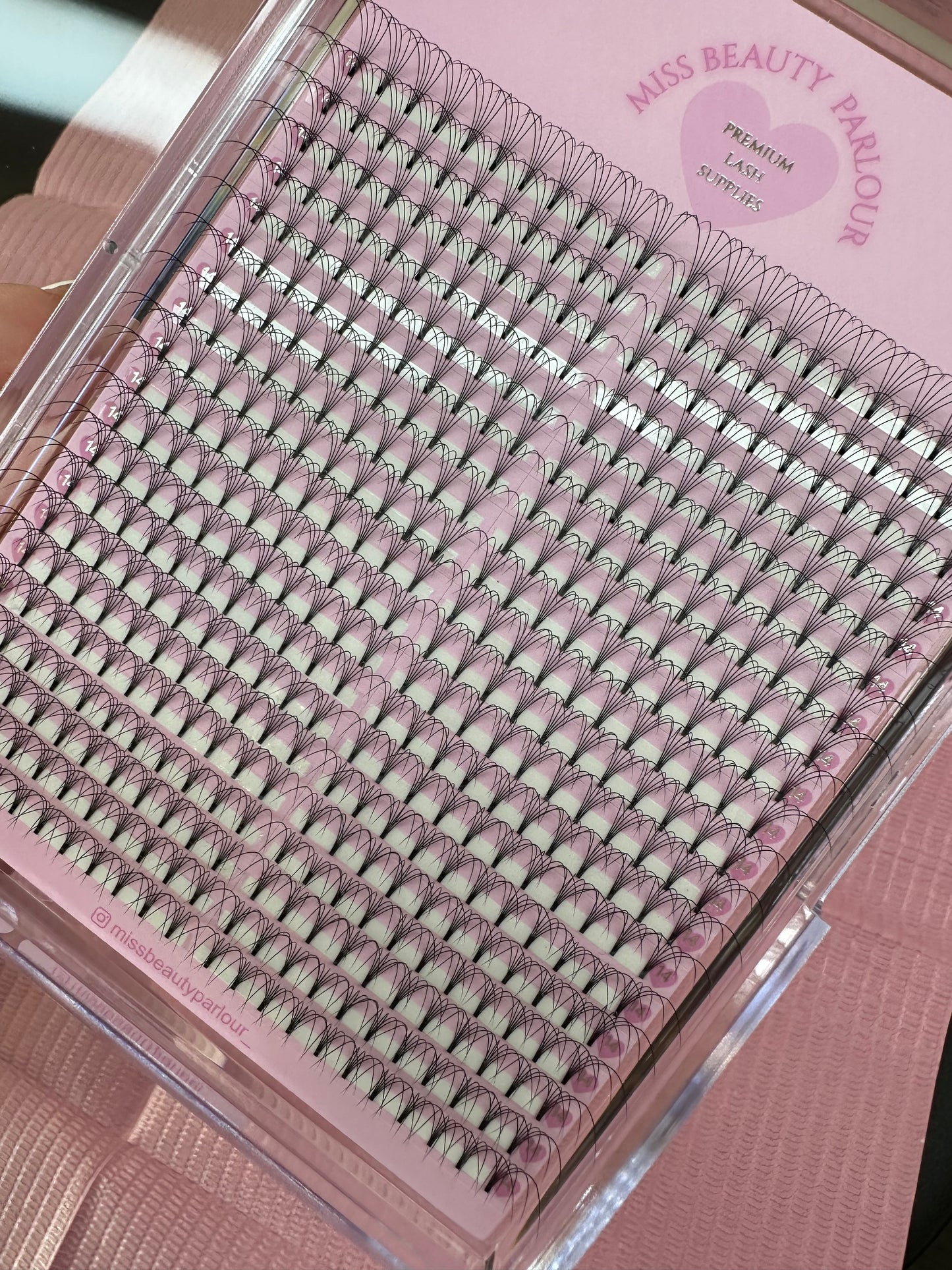 5D 0.10 - XL LASH TRAY