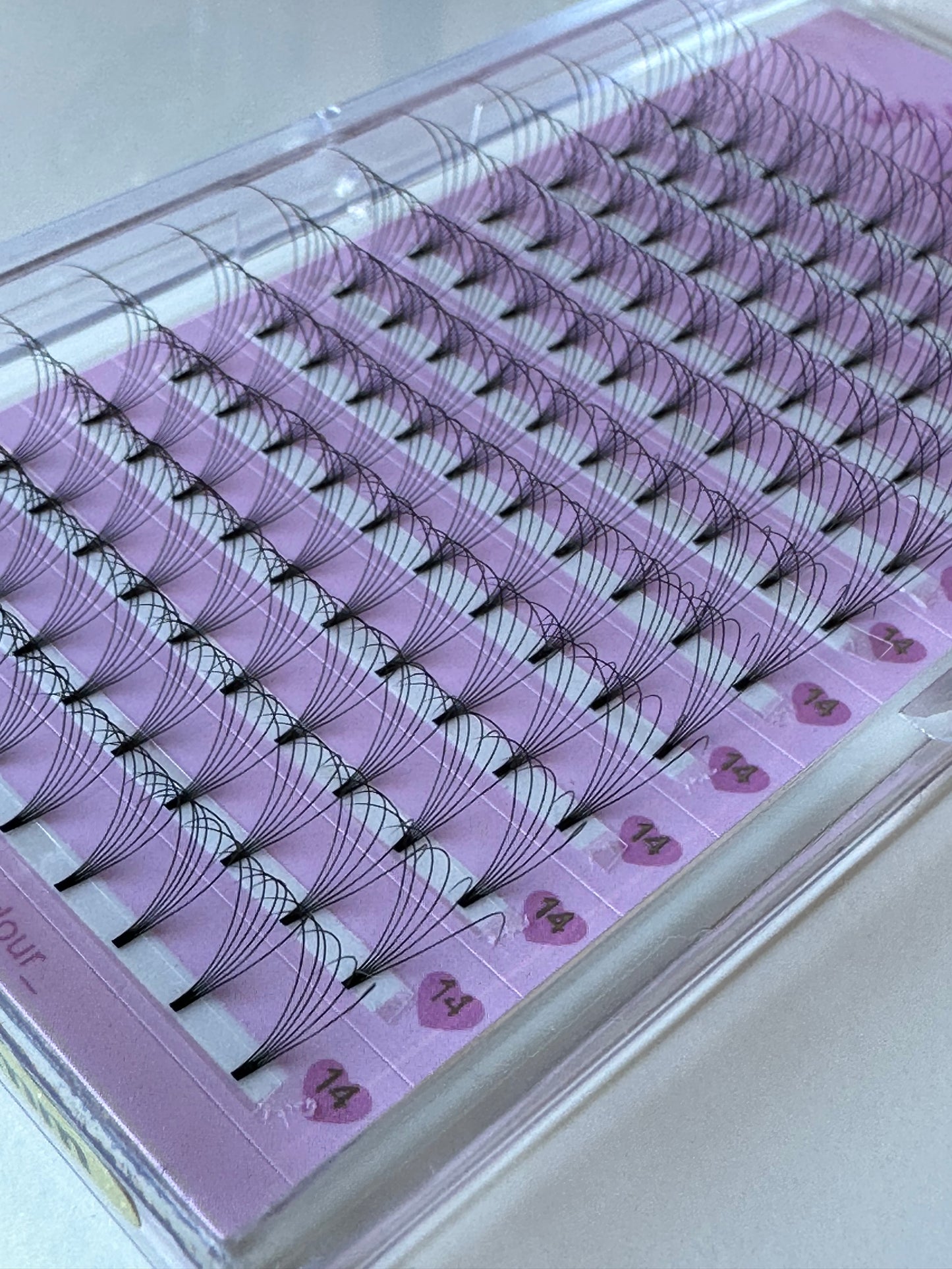 6D 0.07 Lash tray