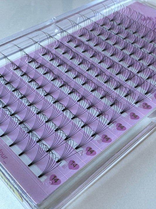 6D 0.07 Lash tray