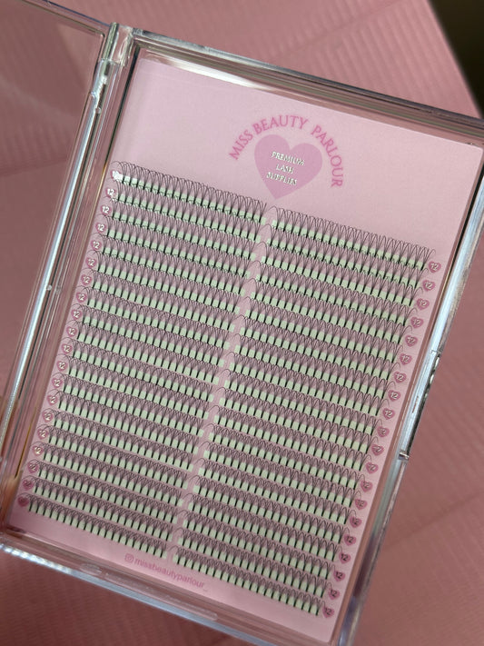3D 0.10 - XL LASH TRAY
