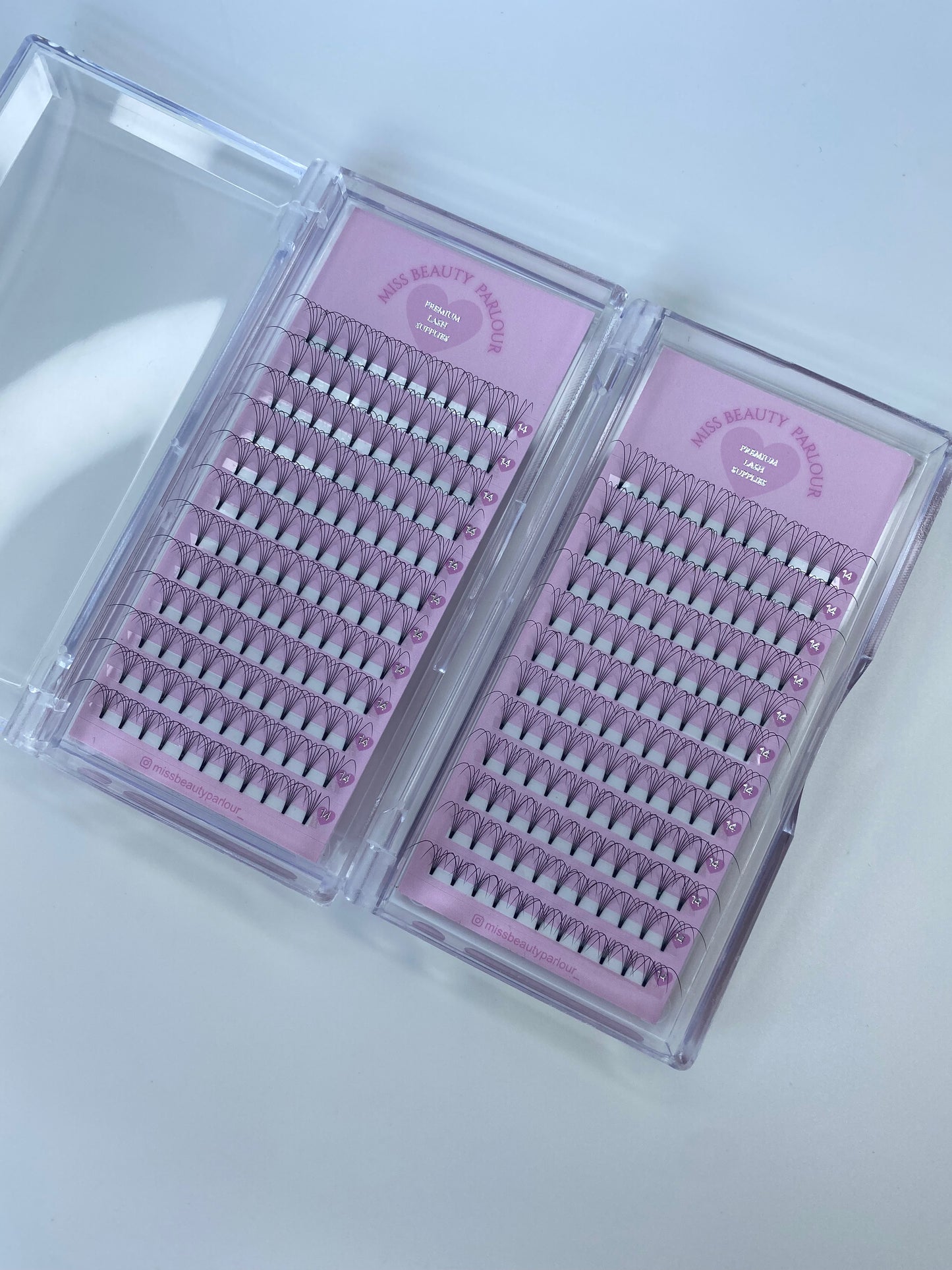 5D 0.10 Premade Lash Tray