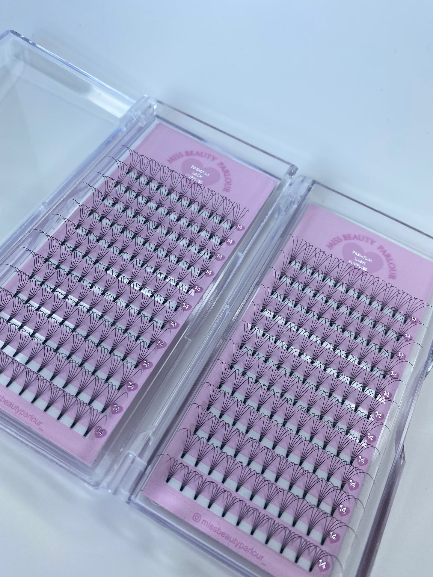 5D 0.10 Premade Lash Tray